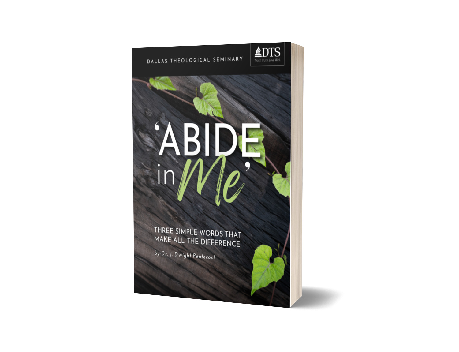 Abide in Me eBook Cover Abide in Me eBook Cover